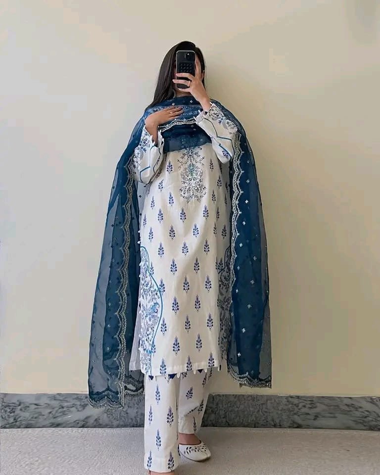 Pakistani 3 Piece - P3P-1 (3)