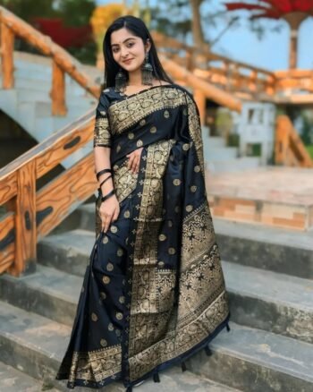 বেনারসি ইন্ডিয়ান সিল্ক শাড়ি+ব্লাউজ - S8 (কালো)